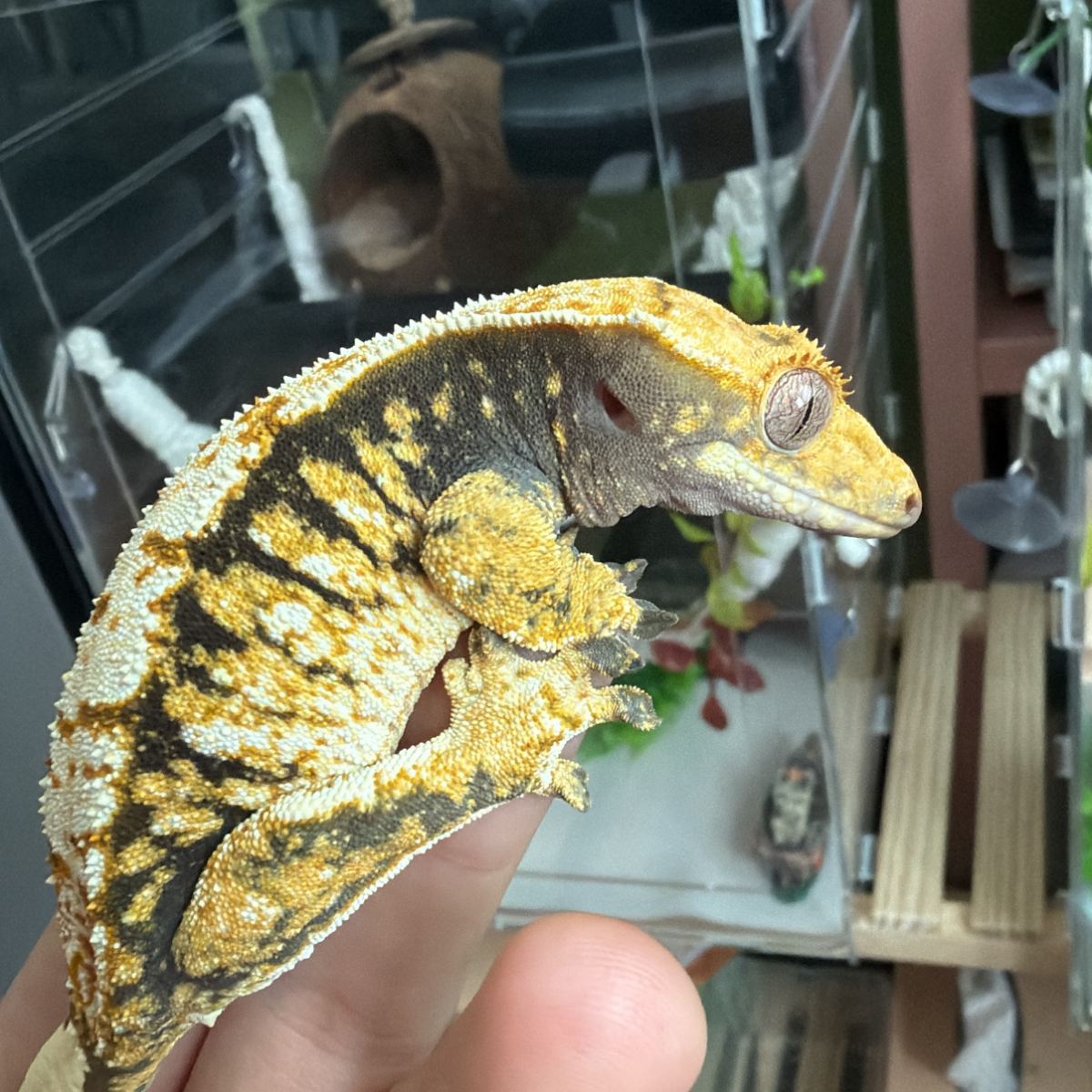 프로필 이미지