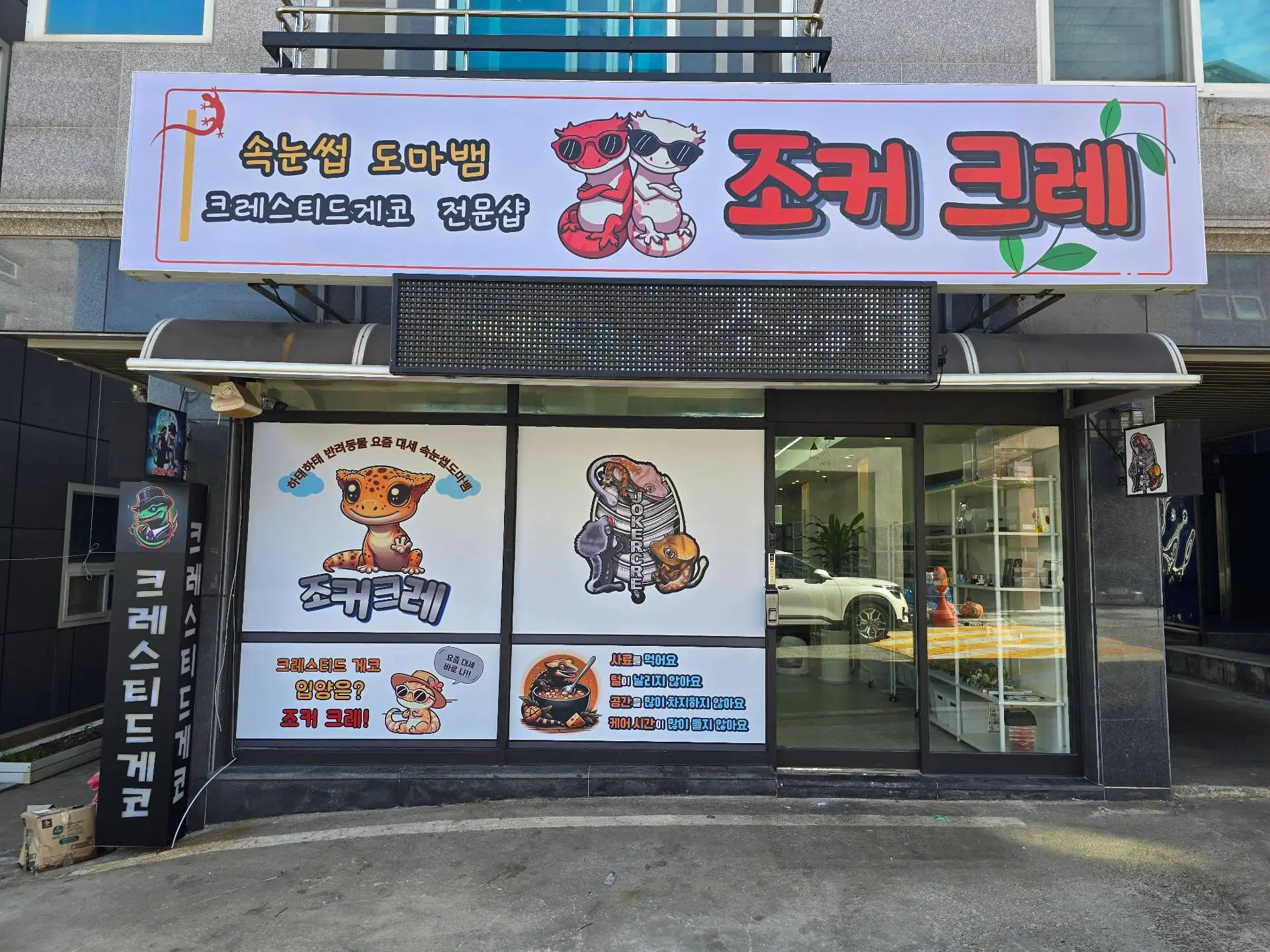 커버 이미지 4