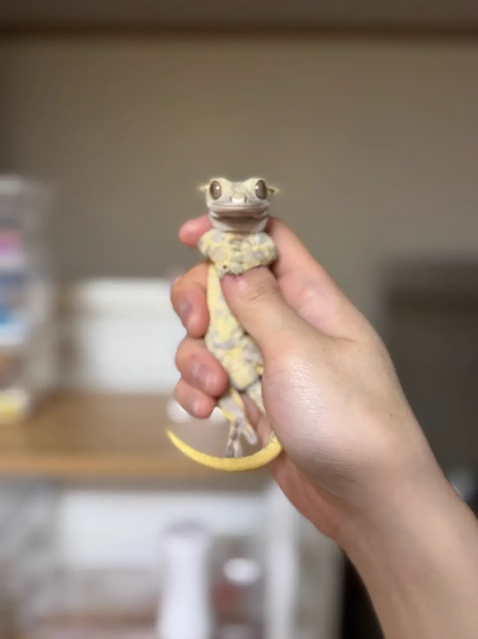 커버 이미지 3