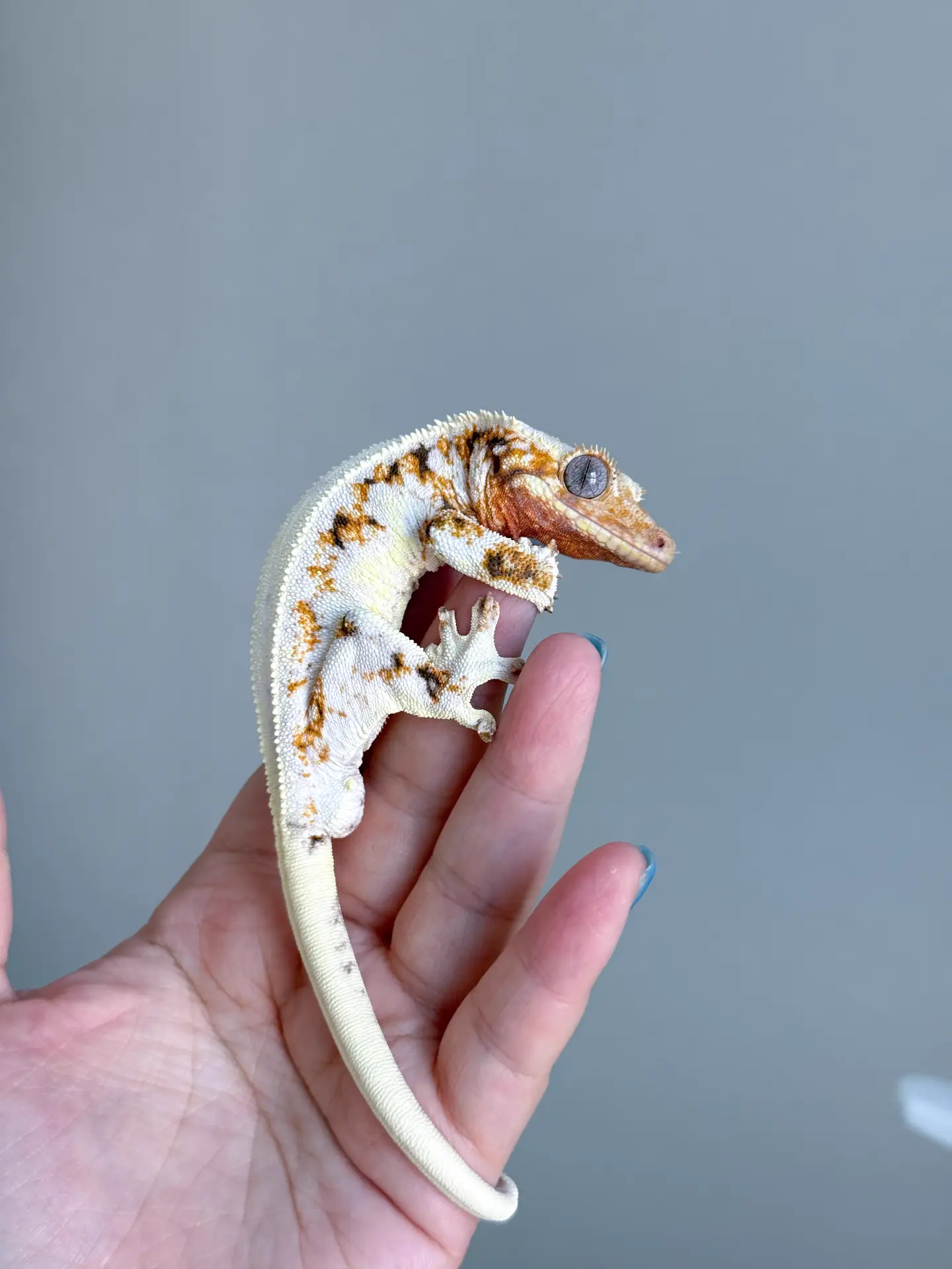 커버 이미지