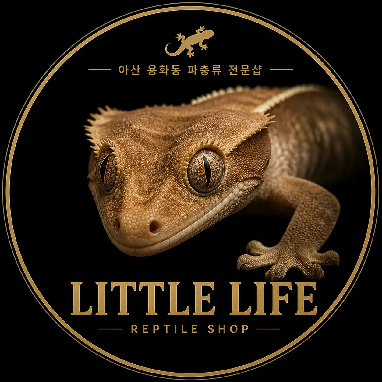 커버 이미지 1