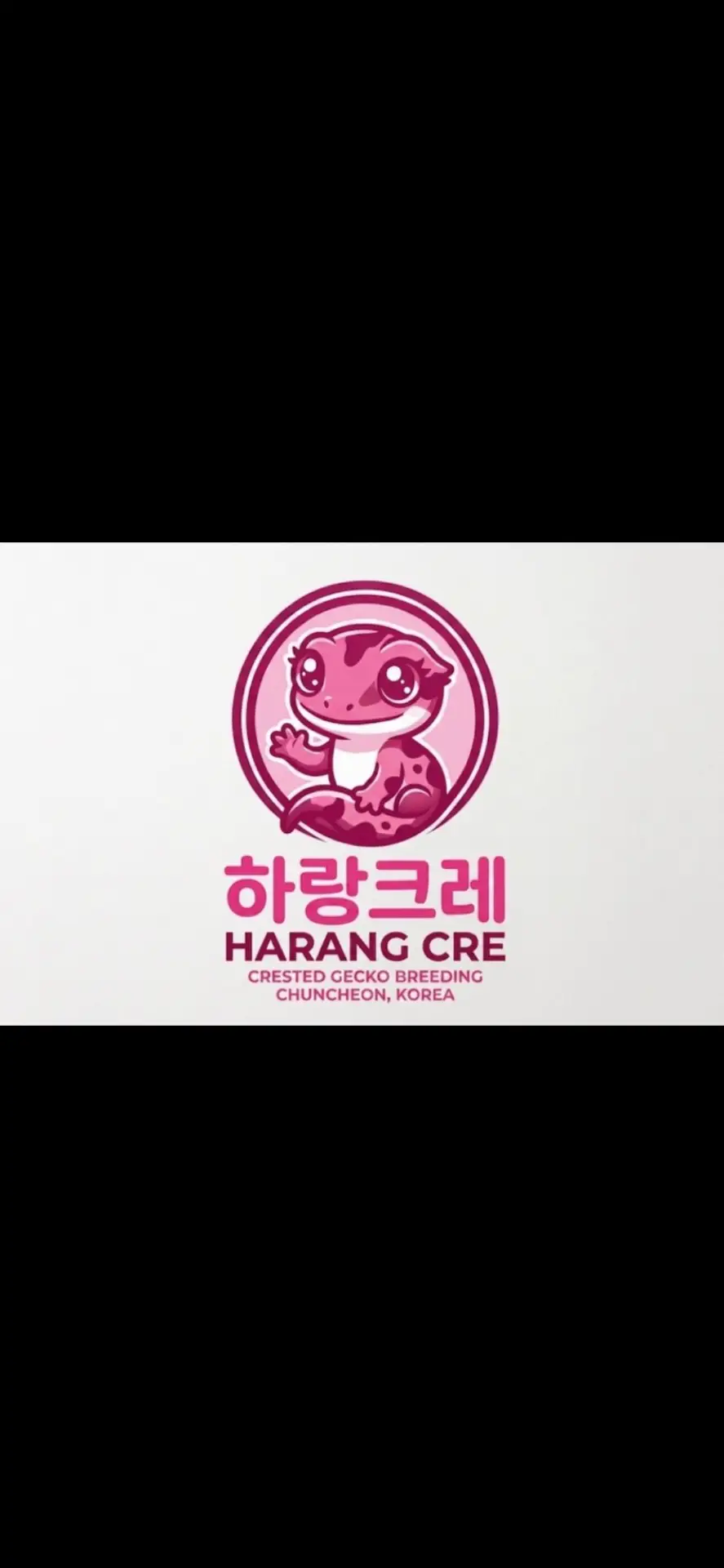 커버 이미지